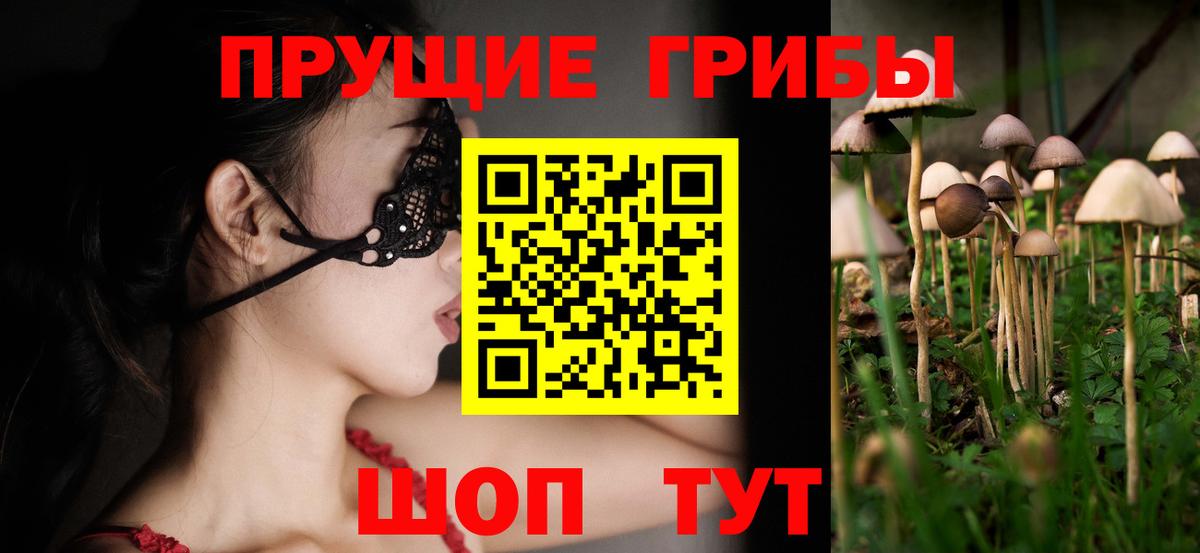 Каменка  Псилоцибиновые грибы мицелий  Вход с VPN  Галлюциногенные грибы мухоморы 